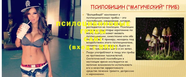 каннабис Надым