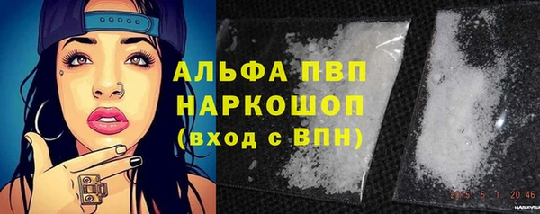 ПСИЛОЦИБИНОВЫЕ ГРИБЫ Михайловск