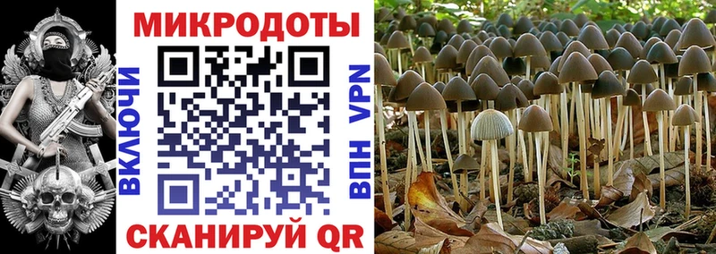 Псилоцибиновые грибы MAGIC MUSHROOMS  где найти наркотики  Трубчевск 